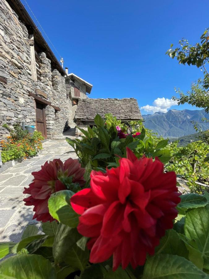 Casa Vacanze La Carbunera Villa โดโมดอสโซลา ภายนอก รูปภาพ